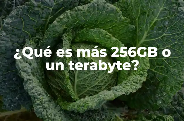 ¿qué es Más 256gb o un Terabyte?