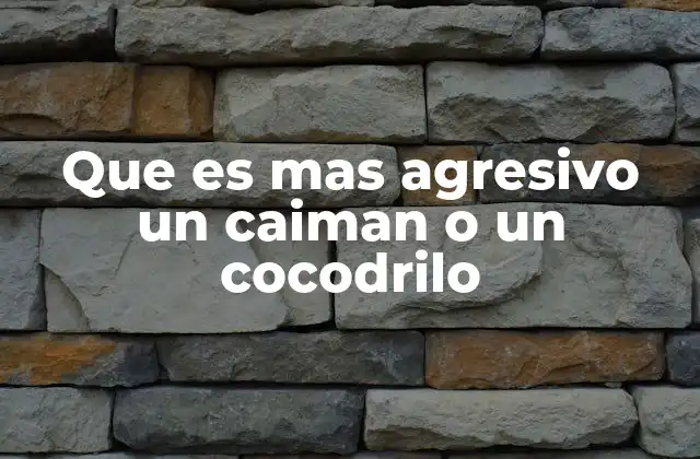 Que es mas Agresivo un Caiman o un Cocodrilo