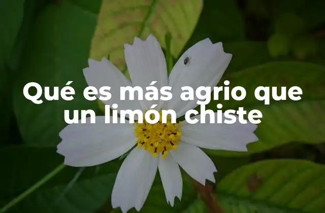 Qué es Más Agrio que un Limón Chiste