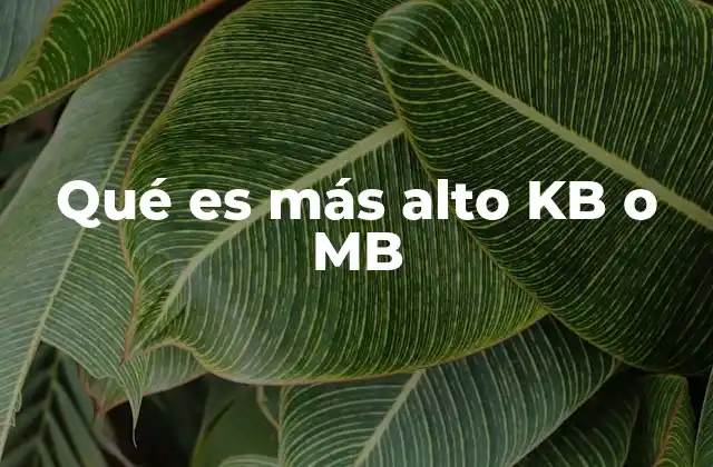 Qué es Más Alto Kb o Mb