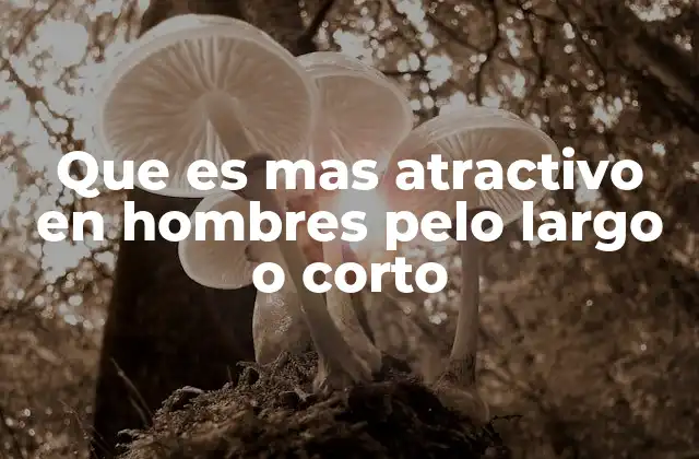Que es mas Atractivo en Hombres Pelo Largo o Corto