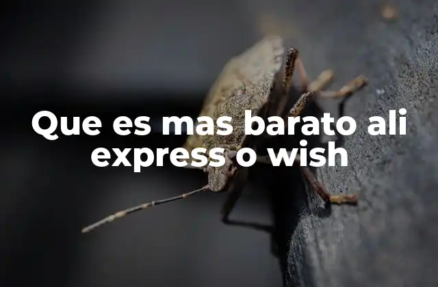 Que es mas Barato Ali Express o Wish