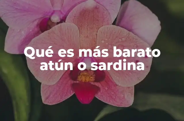 Qué es Más Barato Atún o Sardina