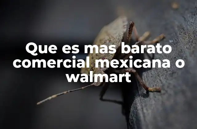 ¿Cómo afectan las promociones a la decisión de compra en ambas tiendas?