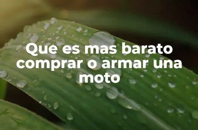 Que es mas Barato Comprar o Armar una Moto