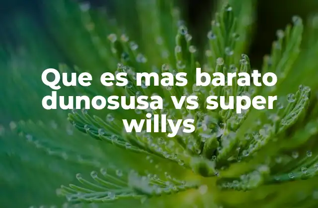 Que es mas Barato Dunosusa Vs Super Willys