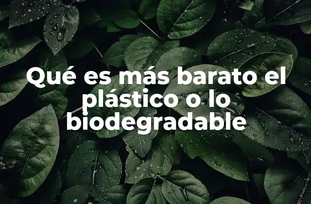 Qué es Más Barato el Plástico o Lo Biodegradable