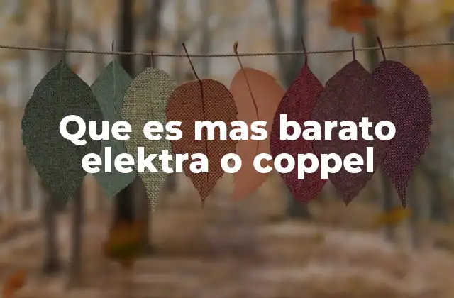 Que es mas Barato Elektra o Coppel