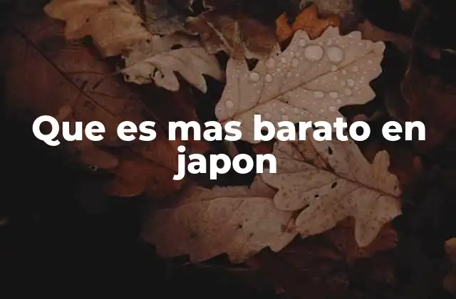Que es mas Barato en Japon