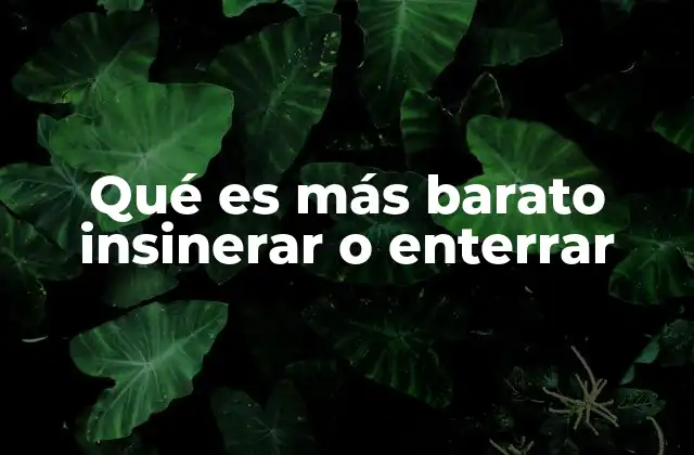 Qué es Más Barato Insinerar o Enterrar