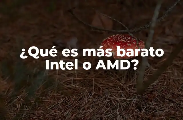 ¿qué es Más Barato Intel o Amd?