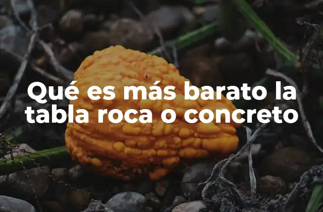 Qué es Más Barato la Tabla Roca o Concreto