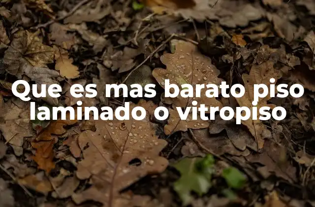 Que es mas Barato Piso Laminado o Vitropiso 2 Costos iniciales y presupuestos comparativos