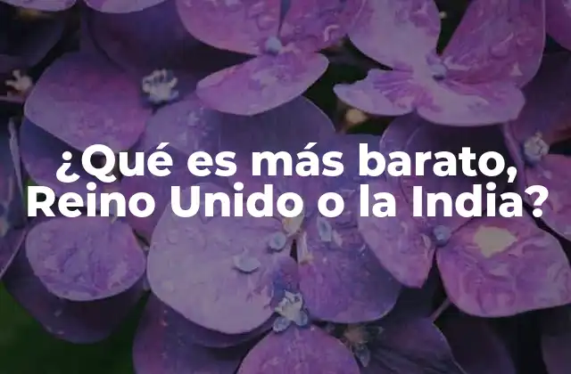 ¿qué es Más Barato, Reino Unido o la India? 2 Comparación del costo de vida entre ambos países