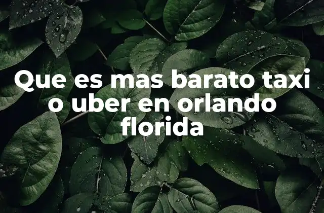 Comparando opciones de movilidad en Orlando sin mencionar directamente el tema