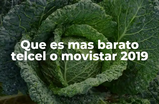 Que es mas Barato Telcel o Movistar 2019
