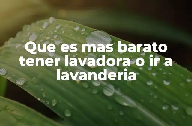 Que es mas Barato Tener Lavadora o Ir a Lavanderia
