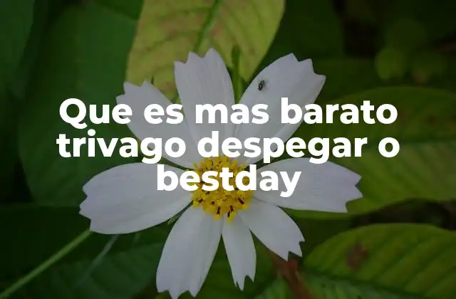 Que es mas Barato Trivago Despegar o Bestday