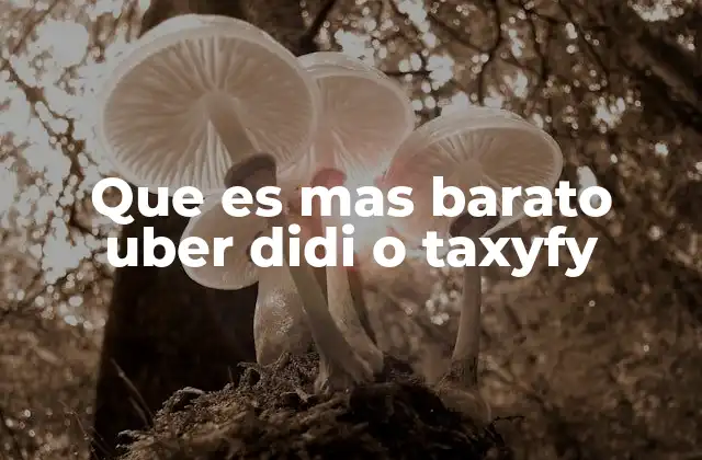 Que es mas Barato Uber Didi o Taxyfy