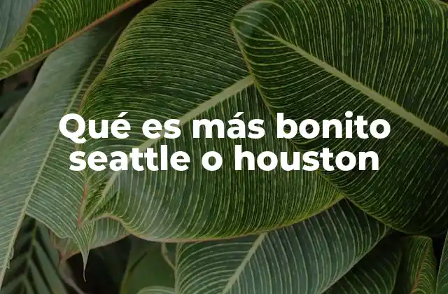 Qué es Más Bonito Seattle o Houston
