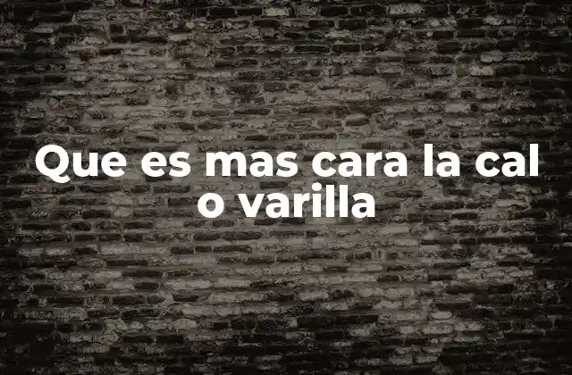 Que es mas Cara la Cal o Varilla