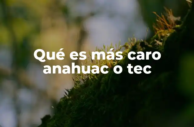 Qué es Más Caro Anahuac o Tec