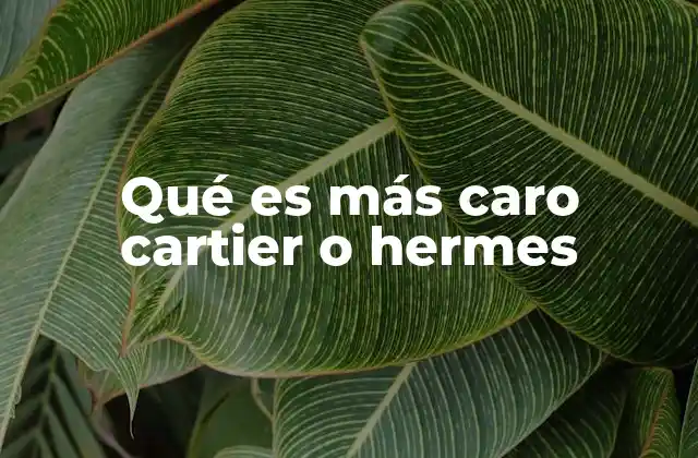 Qué es Más Caro Cartier o Hermes