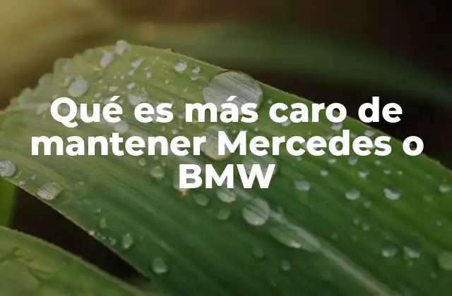 Qué es Más Caro de Mantener Mercedes o Bmw