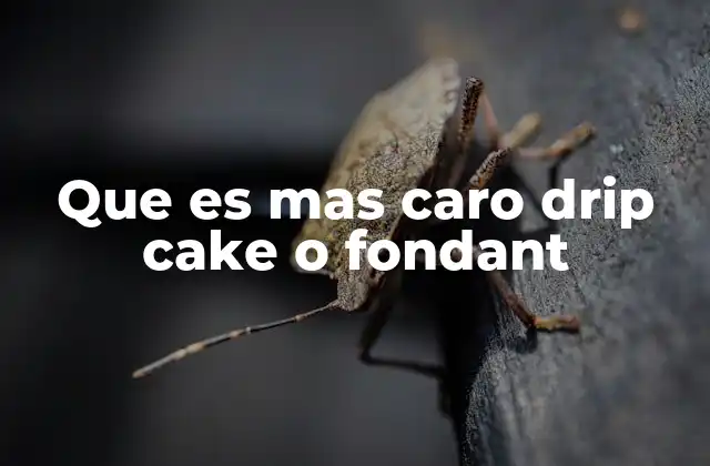 Que es mas Caro Drip Cake o Fondant