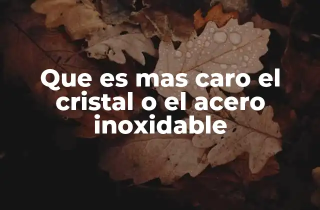 Factores que determinan el costo entre cristal y acero inoxidable
