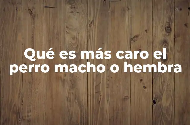 Qué es Más Caro el Perro Macho o Hembra