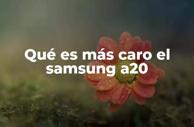 Qué es Más Caro el Samsung A20