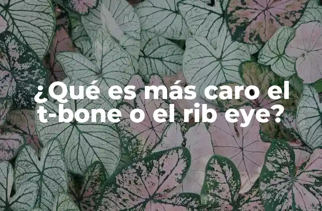 Factores que influyen en el precio de cortes premium