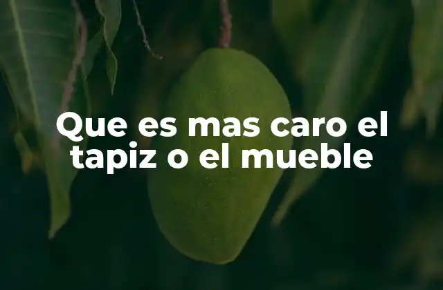 Que es mas Caro el Tapiz o el Mueble