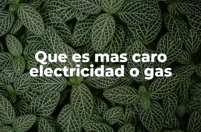 Que es mas Caro Electricidad o Gas