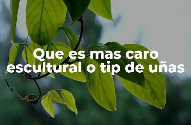 Que es mas Caro Escultural o Tip de Uñas