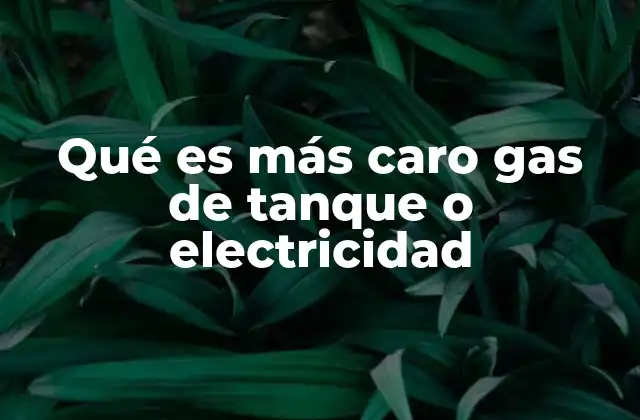 Qué es Más Caro Gas de Tanque o Electricidad
