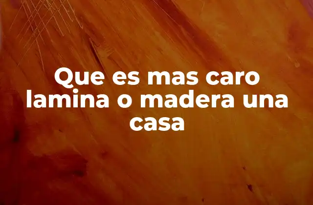 Que es mas Caro Lamina o Madera una Casa 2 Comparando costos: lámina versus madera en la construcción