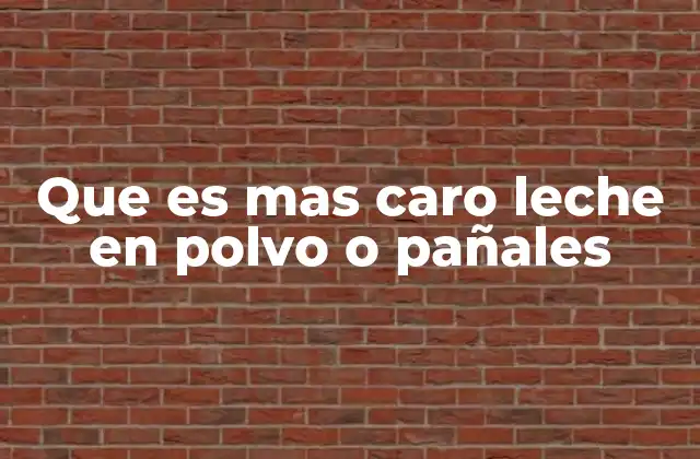 Que es mas Caro Leche en Polvo o Pañales 2 Comparativa de costos entre productos esenciales para bebés