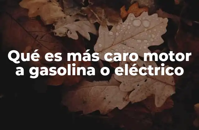 Qué es Más Caro Motor a Gasolina o Eléctrico