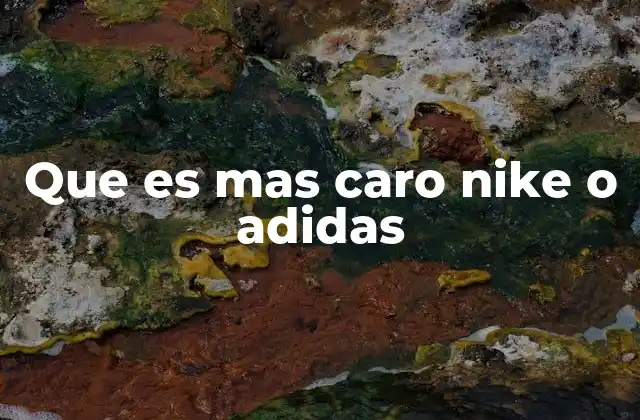 Que es mas Caro Nike o Adidas
