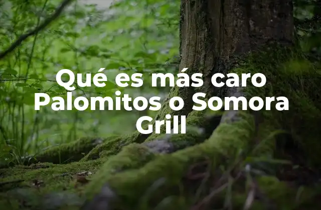 Comparando opciones de comida rápida y snacks