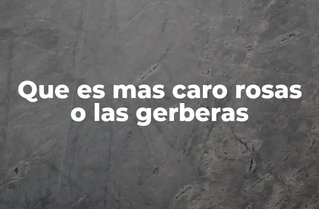 Que es mas Caro Rosas o las Gerberas 2 Diferencias entre las flores y su impacto en el precio