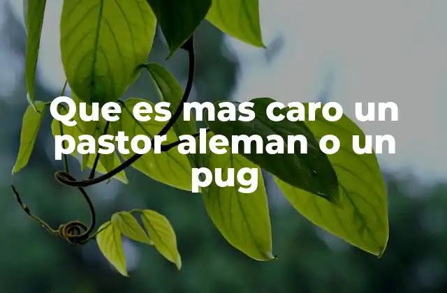 Que es mas Caro un Pastor Aleman o un Pug