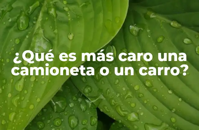 ¿qué es Más Caro una Camioneta o un Carro?