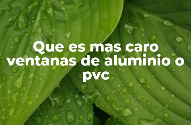 Que es mas Caro Ventanas de Aluminio o Pvc
