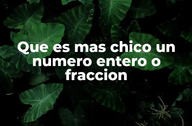 Que es mas Chico un Numero Entero o Fraccion