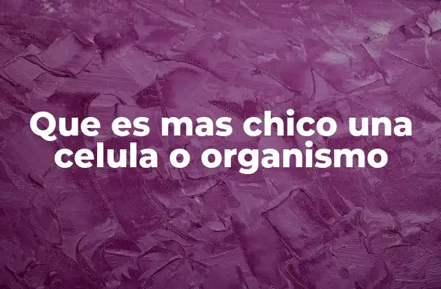 Que es mas Chico una Celula o Organismo 2 La relación entre células y organismos en la escala biológica