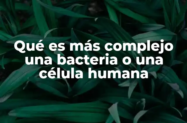 Qué es Más Complejo una Bacteria o una Célula Humana