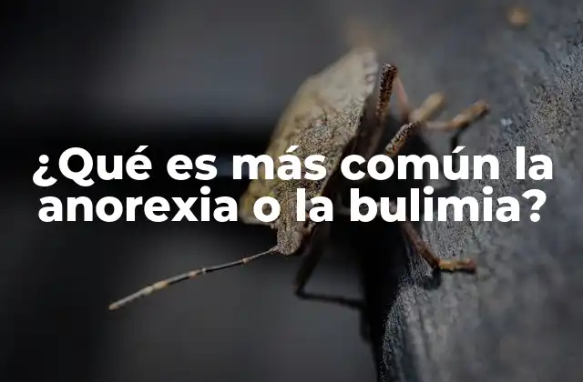 ¿qué es Más Común la Anorexia o la Bulimia?